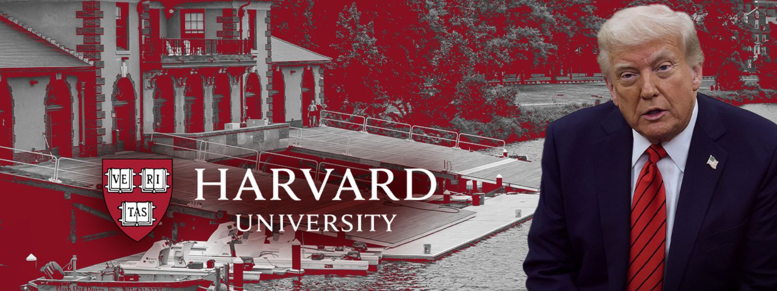 No More International Students At Harvard?